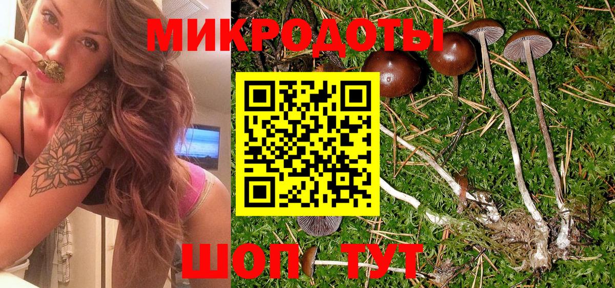 Братск  Псилоцибиновые грибы Magic Shrooms  Вход с VPN 