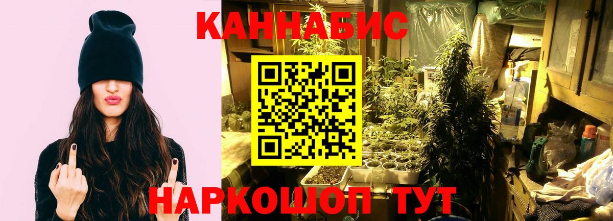Конопля SATIVA & INDICA Братск